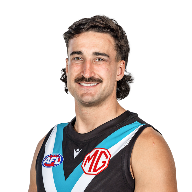 Ivan Soldo profile picture